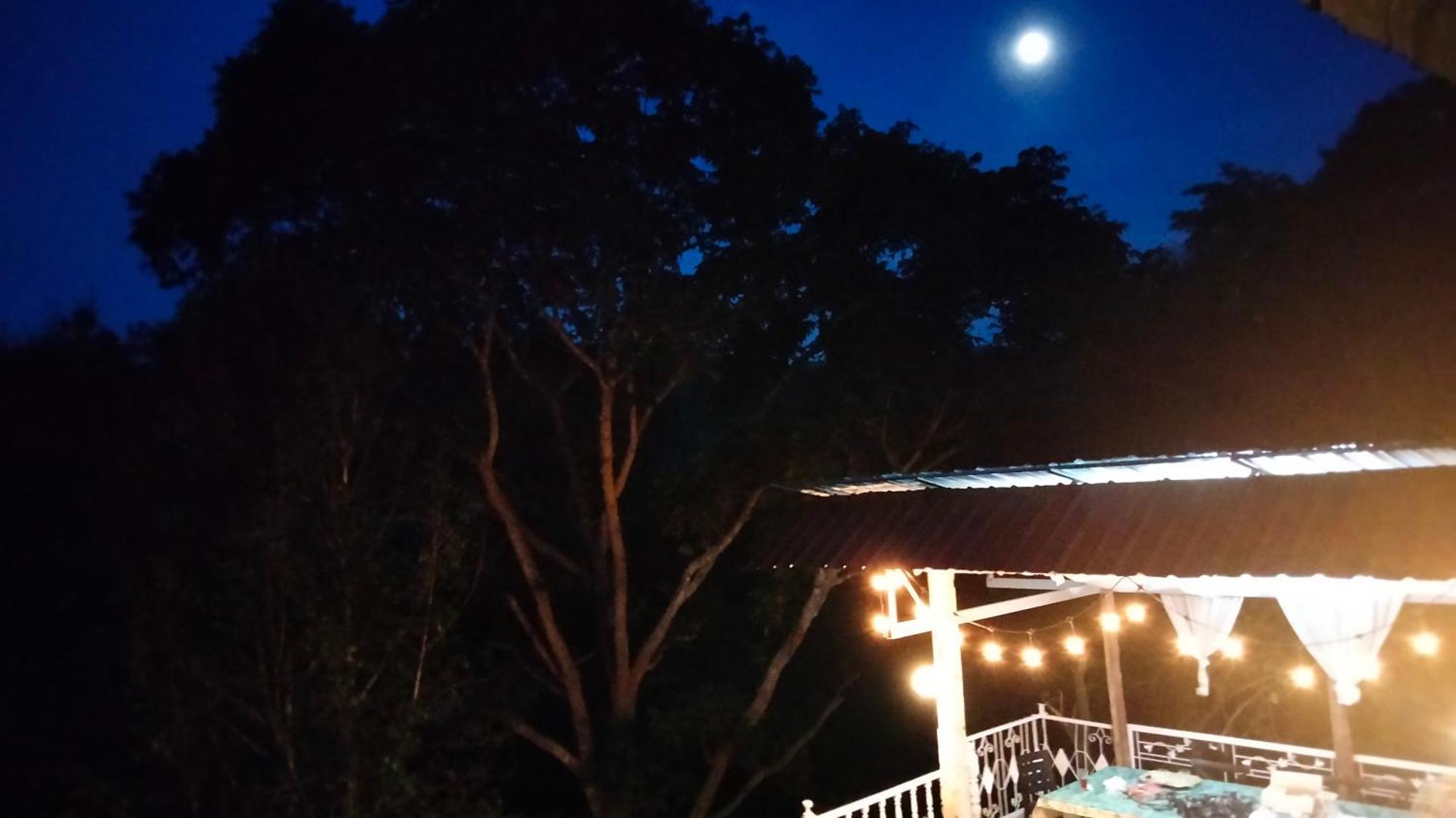 Balmy Hideout Cafe & Homestay Ban Huai Kaeo Exterior foto