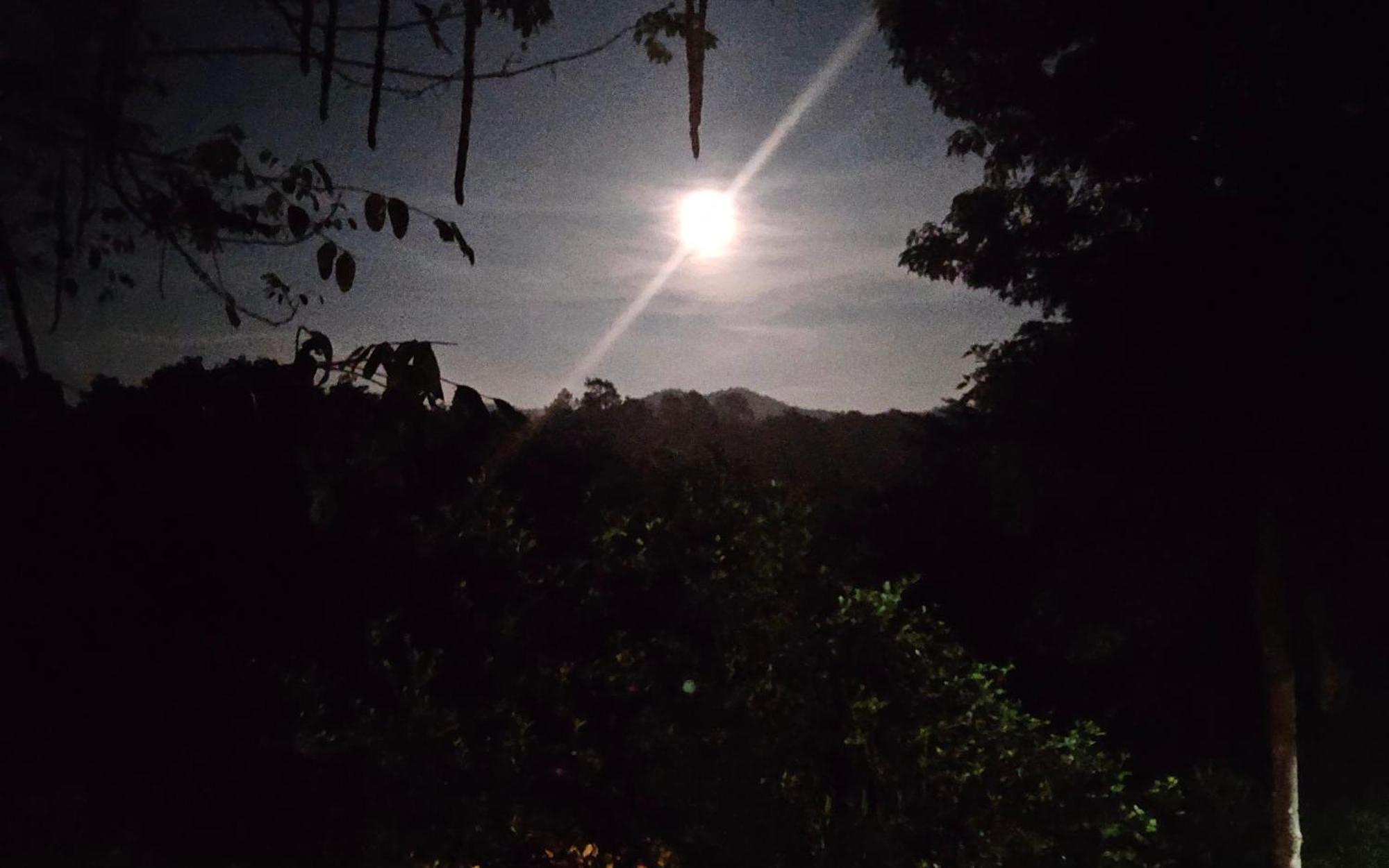 Balmy Hideout Cafe & Homestay Ban Huai Kaeo Exterior foto