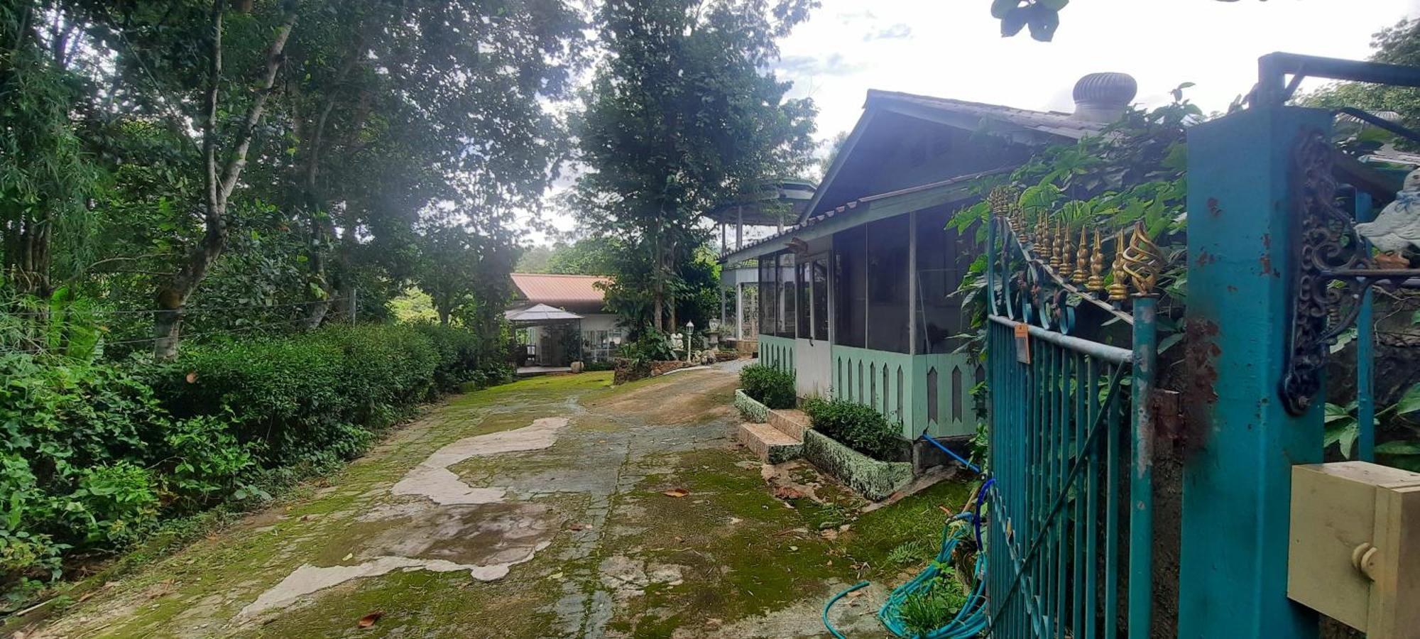 Balmy Hideout Cafe & Homestay Ban Huai Kaeo Exterior foto