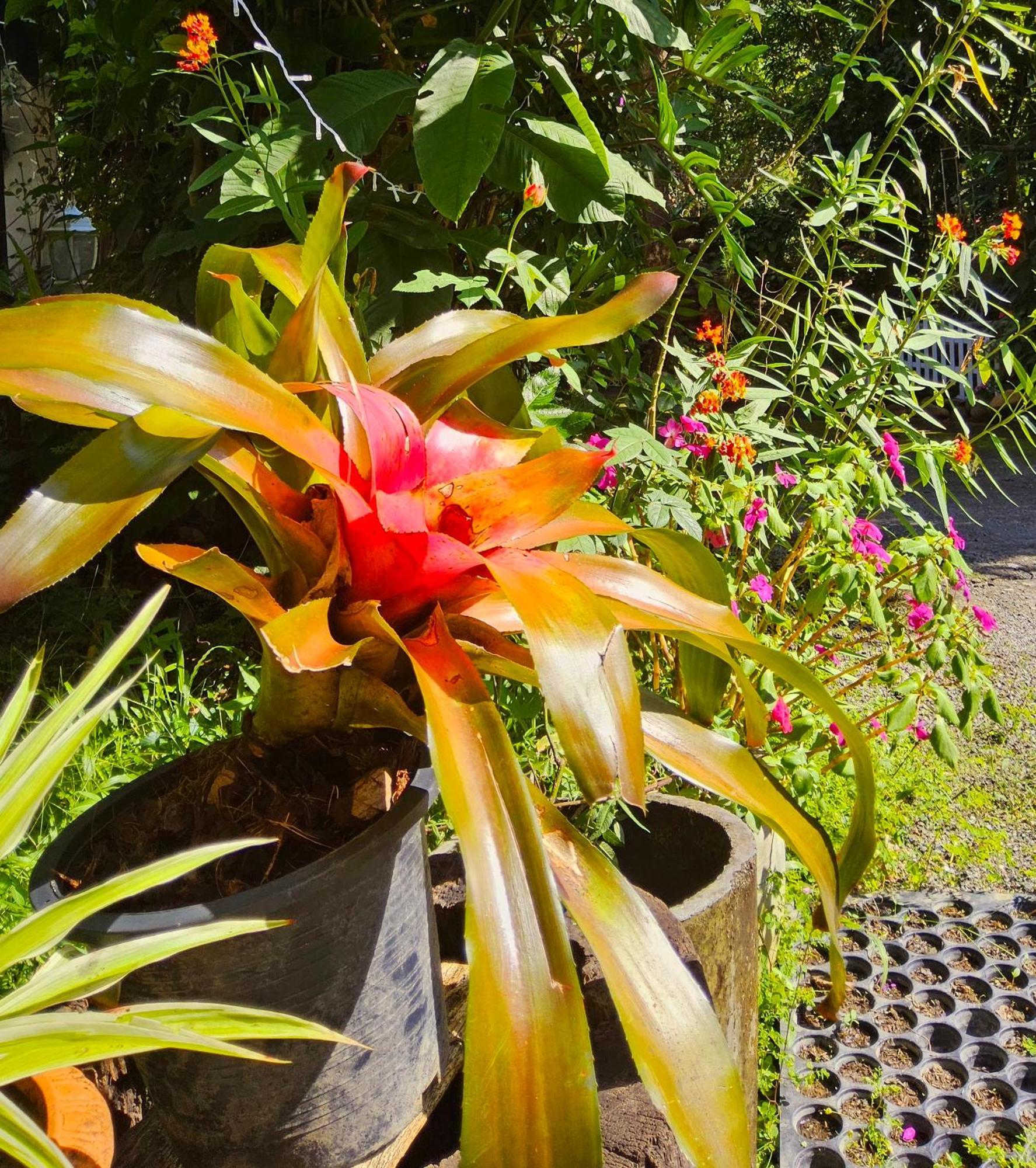 Balmy Hideout Cafe & Homestay Ban Huai Kaeo Exterior foto